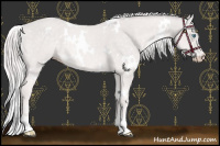 Horse Color:Platinum White Spotted Cremello Rabicano 