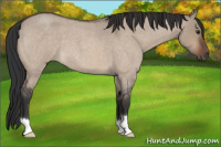 Horse Color:Brown Roan Dun 