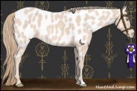 Horse Color:Perlino Near Leopard 