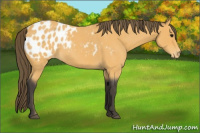 Horse Color:Buckskin Roan Blanket 