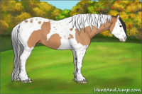 Horse Color:Bay Splash Tobiano 