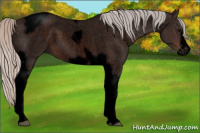 Horse Color:Void Silver Brown Roan Tobiano Frame 