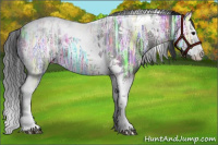 Horse Color:Black Ice Splash Tobiano 