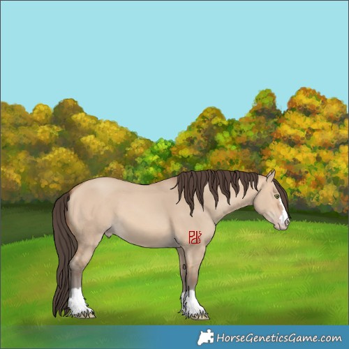 Horse Color:Amber Champagne Dun 