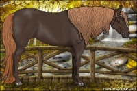 Horse Color:Liver Chestnut Rabicano 