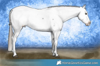 Horse Color:Blue Roan Near Fewspot 
