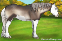 Horse Color:Silver Blue Onyx Splash