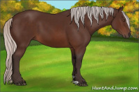 Horse Color:Silver Brown 