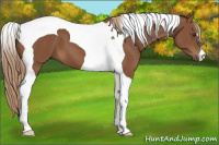 Horse Color:Chestnut Tobiano 
