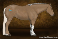 Horse Color:Silver Smoky Black Tobiano 