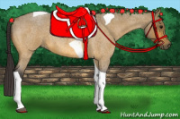 Horse Color:Buckskin Roan Tobiano 