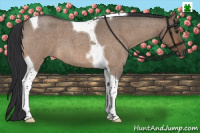 Horse Color:Brown Roan Dun Tobiano