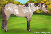 Horse Color:White Spotted Chocolate Bay Dun Brindle