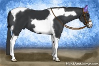 Horse Color:Black Tobiano Frame