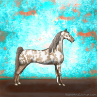 Horse Color:Gray Chocolate Palomino Pearl Dun Near Leopard Brindle 