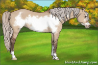 Horse Color:Silver Brown Dun Sabino Frame