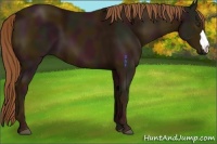 Horse Color:Midnight Chestnut 