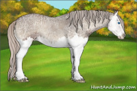 Horse Color:Silver Blue Onyx Ice Splash 
