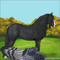 Horse Color:Black Sabino 