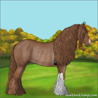 Horse Color:Chestnut Rabicano