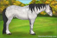 Horse Color:Blue Onyx Ice Roan Rabicano