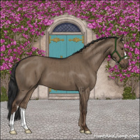 Horse Color:Liver Red Dun Brindle 