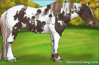 Horse Color:White Spotted Liver Chestnut Tobiano