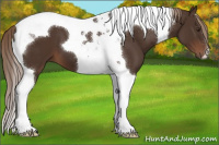 Horse Color:Liver Chestnut Tobiano 
