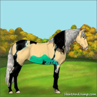 Horse Color:Silver Buckskin Tobiano 