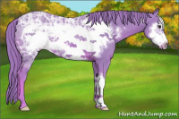 Horse Color:Watercolor Chestnut Ice Frame 
