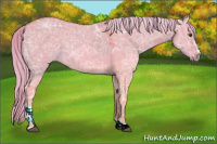 Horse Color:Watercolor Red Dun Ice Sabino 