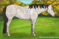 Horse Color:White Spotted Classic Champagne Ice 