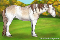 Horse Color:White Spotted Red Onyx Ice 