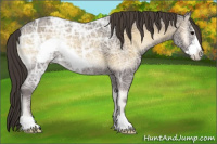 Horse Color:Smoky Blue Onyx Ice Frame 