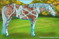 Horse Color:Thunderstruck Silver Bay Ice Rabicano 