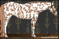 Horse Color:Red Roan Leopard 