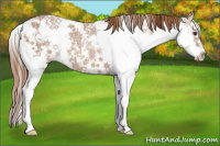 Horse Color:Chestnut Ice Sabino 
