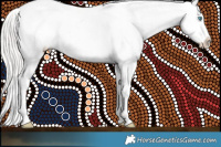 Horse Color:Perlino Roan Dun Appaloosa