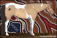 Horse Color:Buckskin Roan Dun Tobiano 