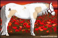 Horse Color:Sable Cream Champagne Dun Splash Tobiano 