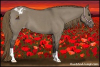 Horse Color:Smoky Grullo Roan Blanket 