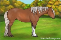 Horse Color:Silver Bay 