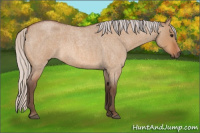 Horse Color:Silver Bay Roan Dun 