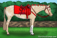 Horse Color:Palomino Ice Dun 