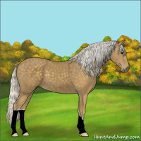 Horse Color:Silver Smoky Black 