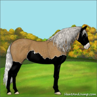 Horse Color:Silver Smoky Black Splash 