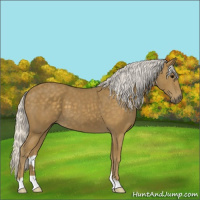 Horse Color:Silver Smoky Black 