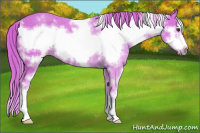 Horse Color:Watercolor White Spotted Chestnut Sabino Frame 