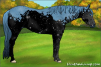 Horse Color:ERROR: UNKNOWN ANOMALY