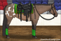 Horse Color:Brown Dun Appaloosa Brindle 